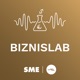 Biznislab