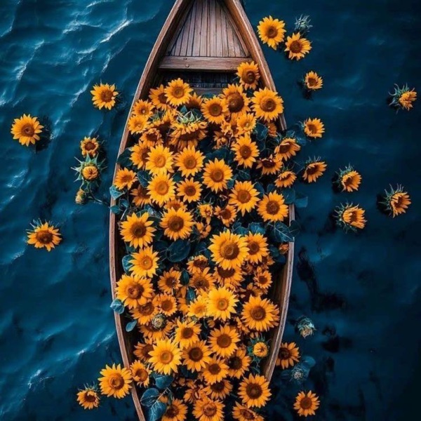 موسیقی بیکلام| امید جمعی photo
