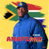 AMAPIANO MIXES PODCAST - DJ Fred Max