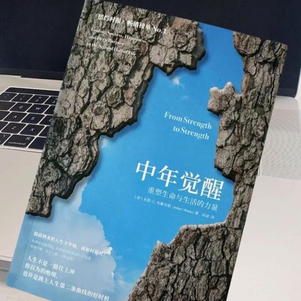 《中年觉醒》完