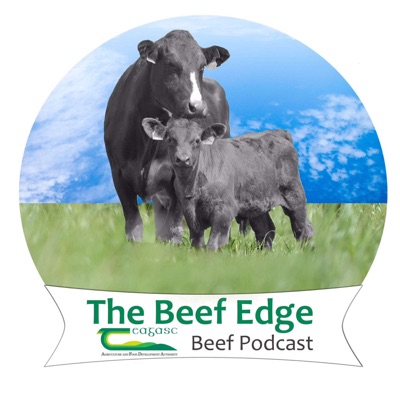 The Beef Edge:Teagasc