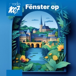 Fënster Op