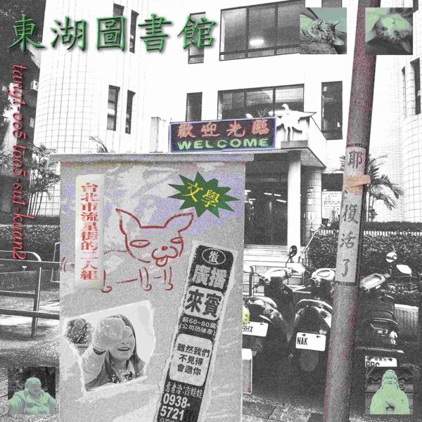 東湖圖書館 cover art