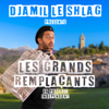 Les Grands Remplaçants - Djamil le Shlag