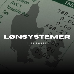 Guide til lønsystemer