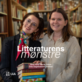 Litteraturens mønstre