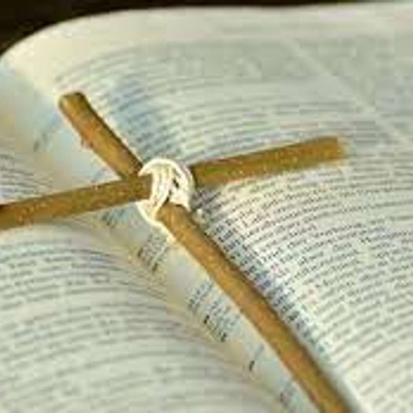 The Bible Project image