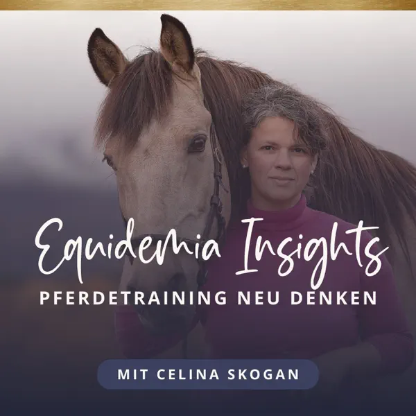 Equidemia Insights