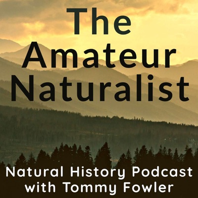 The Amateur Naturalist