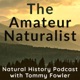 The Amateur Naturalist