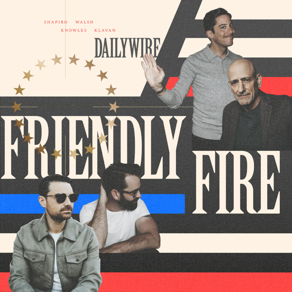 Friendly Fire artwork
