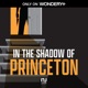 In the Shadow of Princeton