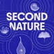 Second Nature