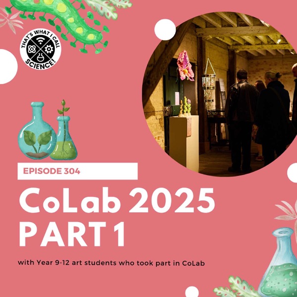 Episode 304: CoLab 2025 - Part 1 photo