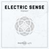 Electric Sense - Another Life Music