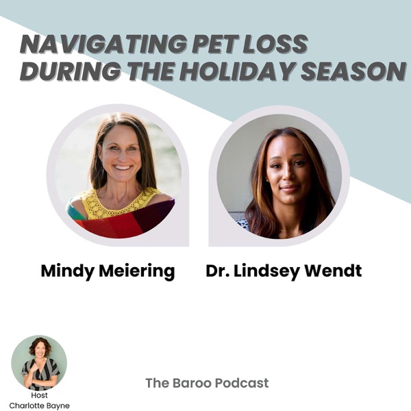 Navigating Pet Loss During the Holidays: Coping Mechanisms and Healing Tools with Dr. Lindsey Wendt and Mindy Meiering photo