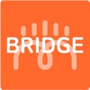 BRIDGE Weekly HOT100