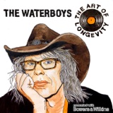 The Art of Longevity Season 5, Episode 2: The Waterboys, with Mike Scott