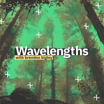 Wavelengths with Brendon Bigley Wavelengths with Brendon Bigley