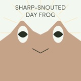 Sharp-Snouted Day Frog | Week of June 5th