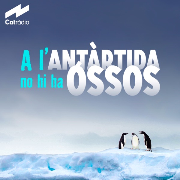 A l'Antàrtida no hi ha óssos