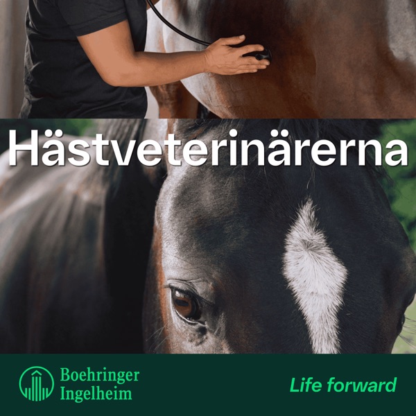 Hästveterinärerna