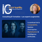 IG CONSEILS – Experts Augmentés en Comptabilité, IA et Digitalisation