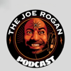 Joe Rogan Podcast Clips - Deepak Swami