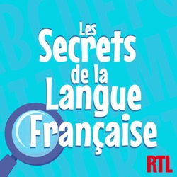 Les secrets de la langue française : orthographe, grammaire et conjugaison