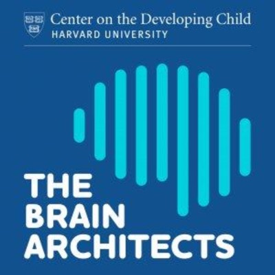 The Brain Architects The Brain Architects