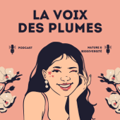 A la découverte des oiseaux de France