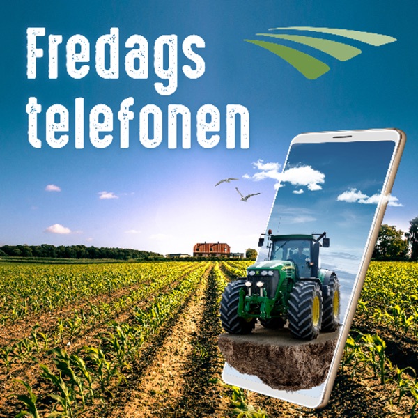 Fredagstelefonen 2025 - Uge 39: DB-TJEK KAN GIVE STORE BESPARELSER - Fredagstelefonen