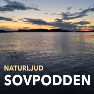 Sovpodden