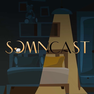 Somncast:Raul Gheba și Costel Bojog