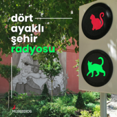 Dört Ayaklı Şehir Radyosu