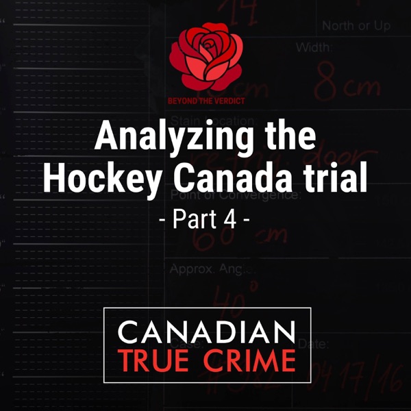 Analyzing the Hockey Canada trial [4] photo