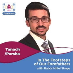 In The Footsteps of Our Forefathers