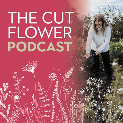 The Cut Flower Podcast:Roz Chandler