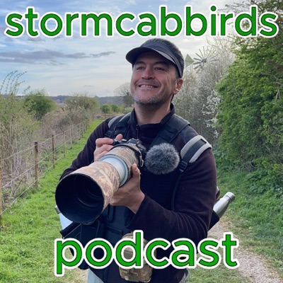 stormcabbirds birding podcast stormcabbirds birding podcast