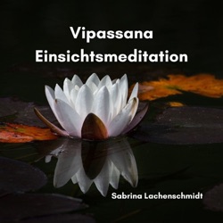 Die dreizehn Stufen der Vipassana Einsicht