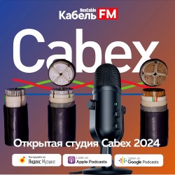 Дневник WIRE 2024. Продюсер выставки: почему следует участвовать в выставке, программа = шоу?