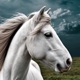 The Elaine Heney Horse & Pony Audiobook Podcast