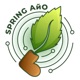 Spring АйО