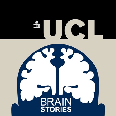 Brain Stories Brain Stories