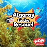 Algaray To The Rescue! (5/6/24)