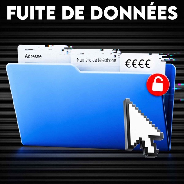 Piratage des impôts et de l’Education nationale, voici les risques artwork