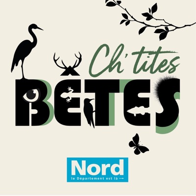 Ch'tites bêtes Ch'tites bêtes