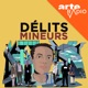 Délits mineurs