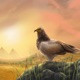 Sounds of Nature