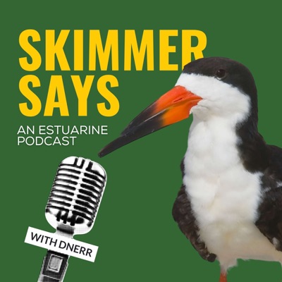 Skimmer Says Skimmer Says
